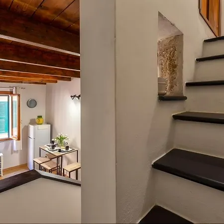 Apartament Zia Bi *